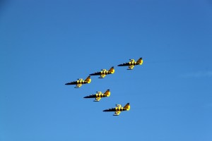 Baltic Bees - formation