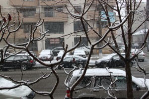 iarna in Bucuresti